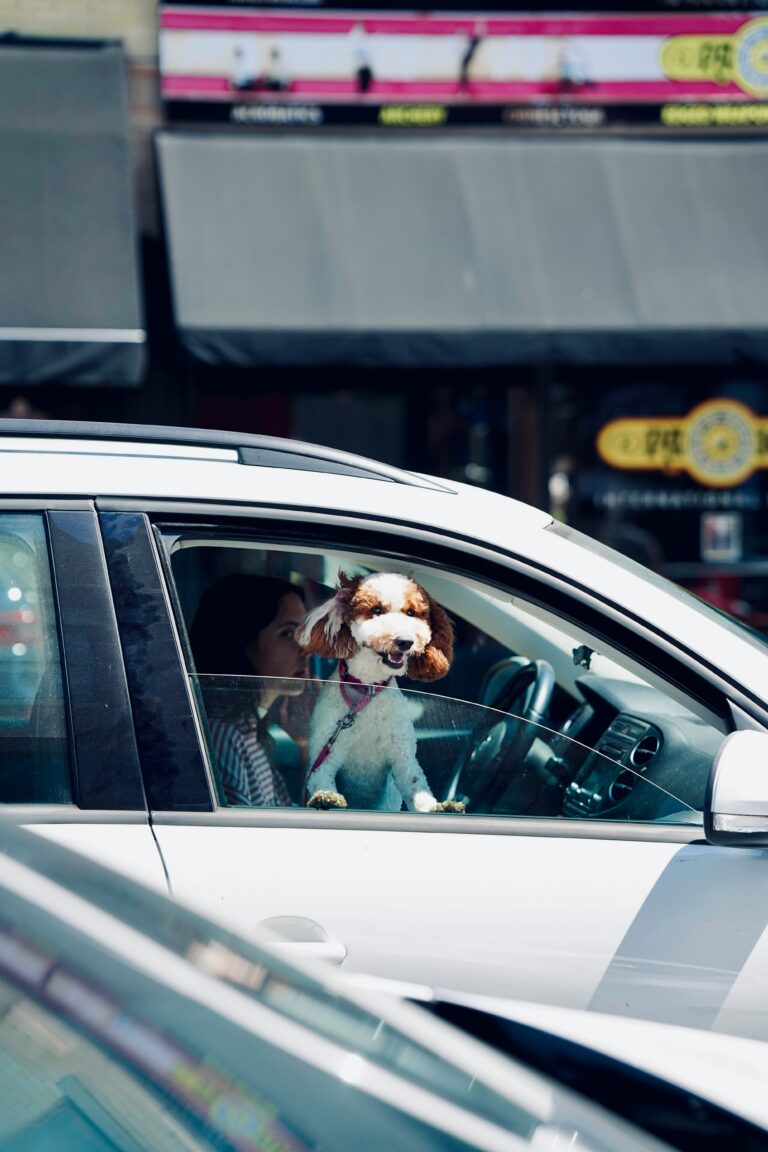 Understanding Auto Insurance For Leased Vehicles