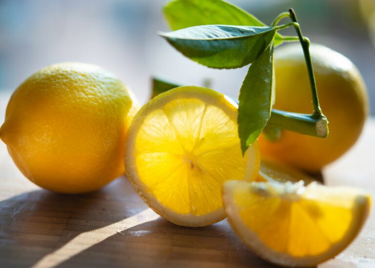 Lemonade Auto Insurance Reviews (2026): Tech-First Pricing in a Handful of States, With Trade-Offs on Coverage and Service