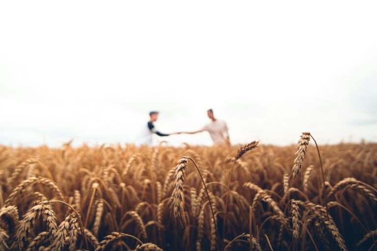Farmers vs Allstate (2026): Farmers Is Cheaper for Most Drivers, but Allstate Has the Stronger Financial Rating